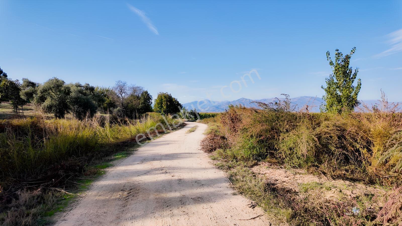 Aydın Efeler Kırıklarda Dönüm Fiyatı Sadece 470.000 Tl! — fotoğraf 22