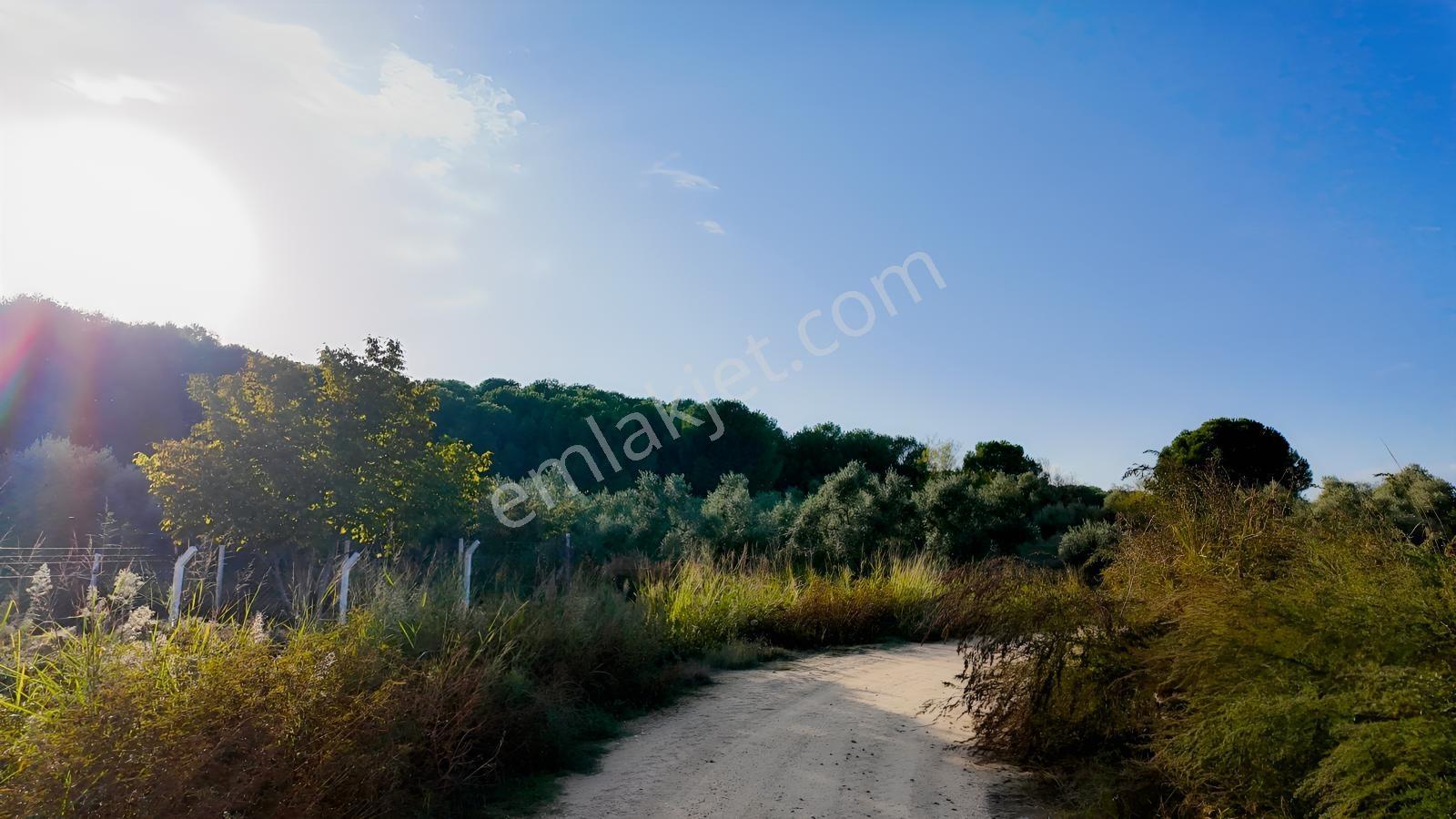 Aydın Efeler Kırıklarda Dönüm Fiyatı Sadece 470.000 Tl! — fotoğraf 23