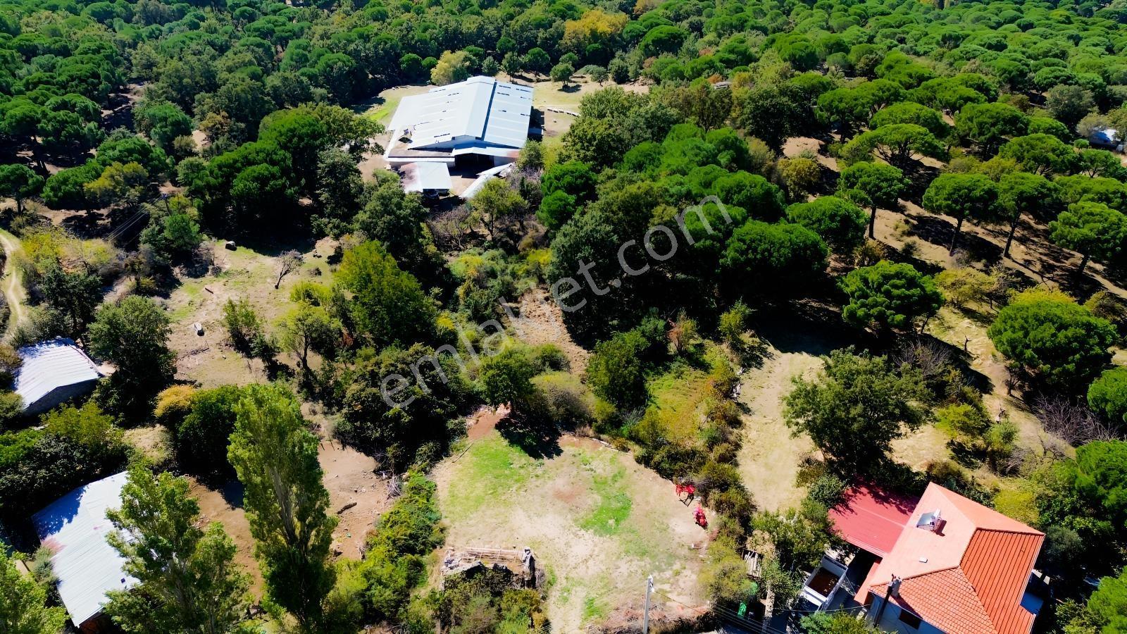 Bergama Kıranlı Mah.'de 4.640m2 Satılık Tarla Elma Bahçesi — fotoğraf 3