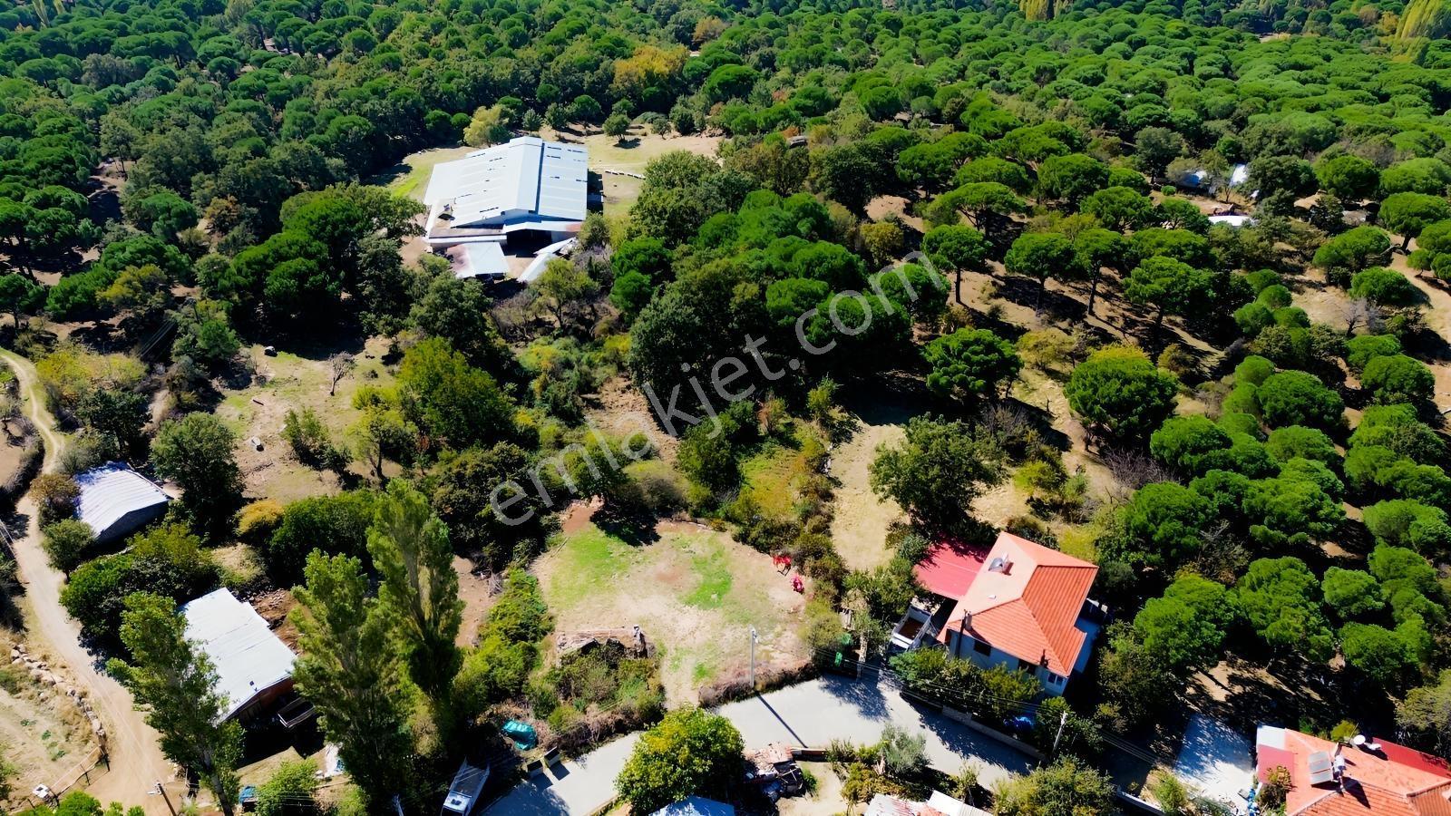 Bergama Kıranlı Mah.'de 4.640m2 Satılık Tarla Elma Bahçesi — fotoğraf 4