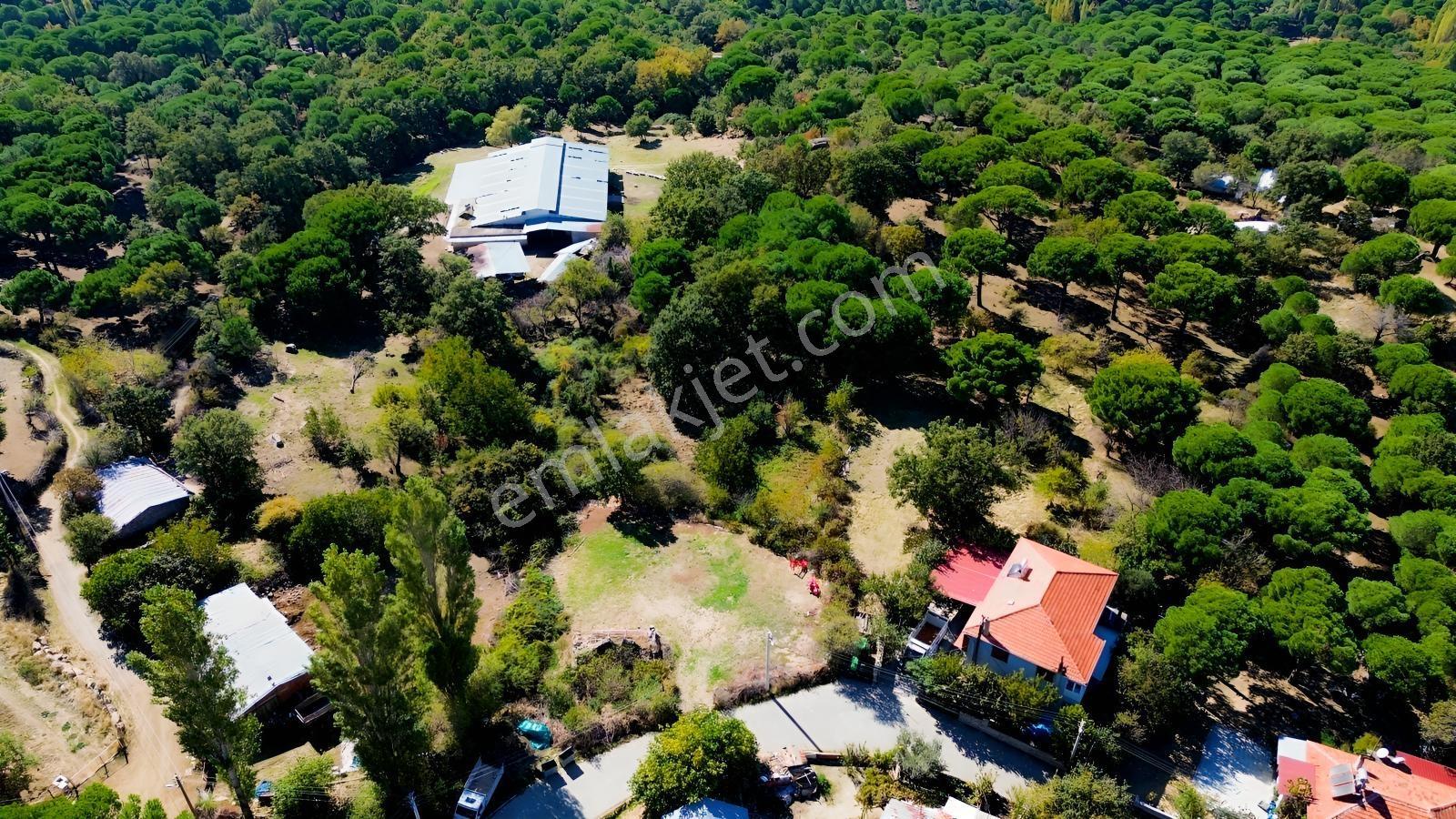 Bergama Kıranlı Mah.'de 4.640m2 Satılık Tarla Elma Bahçesi — fotoğraf 5
