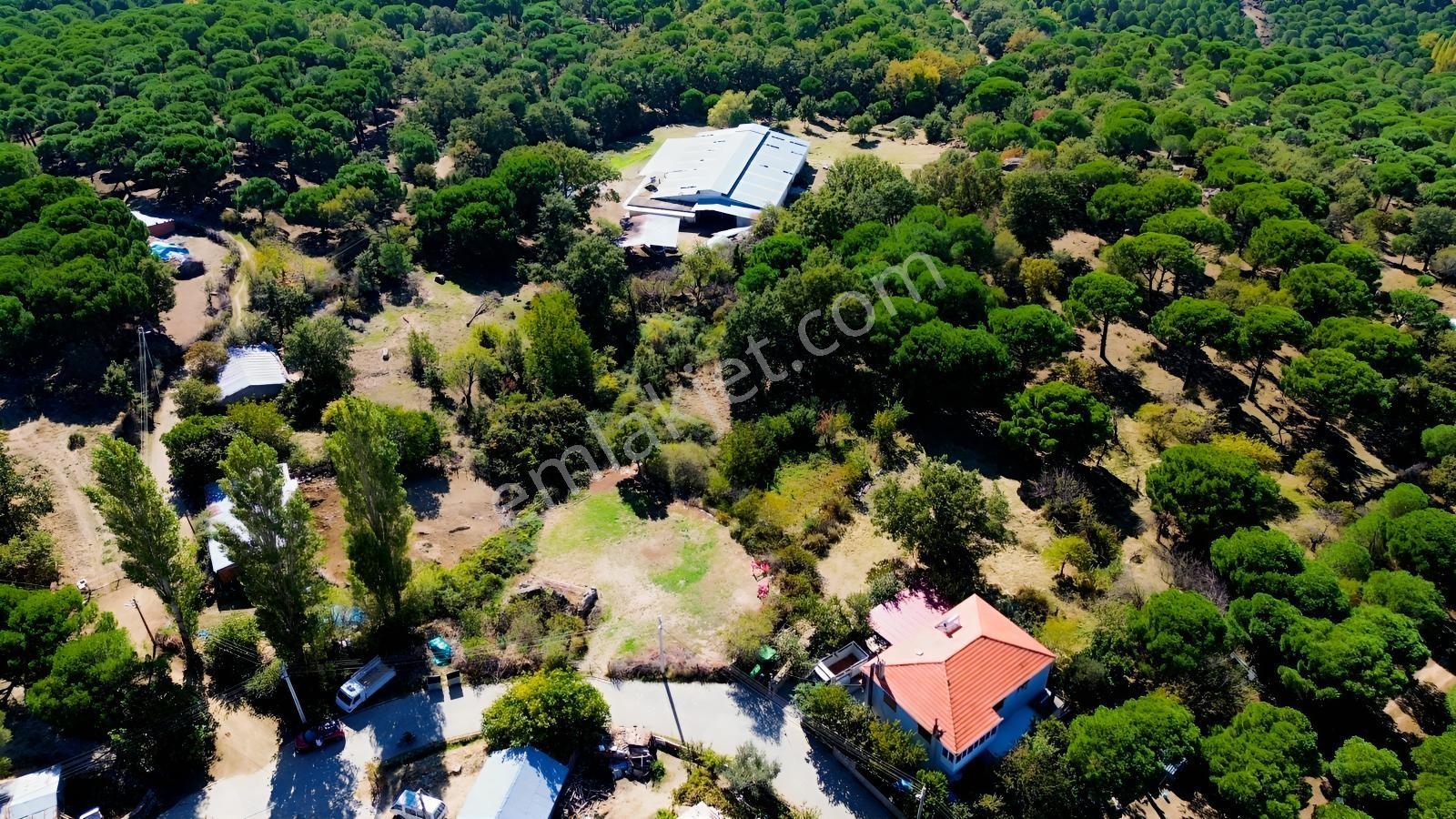 Bergama Kıranlı Mah.'de 4.640m2 Satılık Tarla Elma Bahçesi — fotoğraf 6
