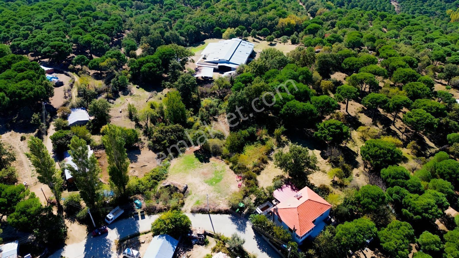 Bergama Kıranlı Mah.'de 4.640m2 Satılık Tarla Elma Bahçesi — fotoğraf 7
