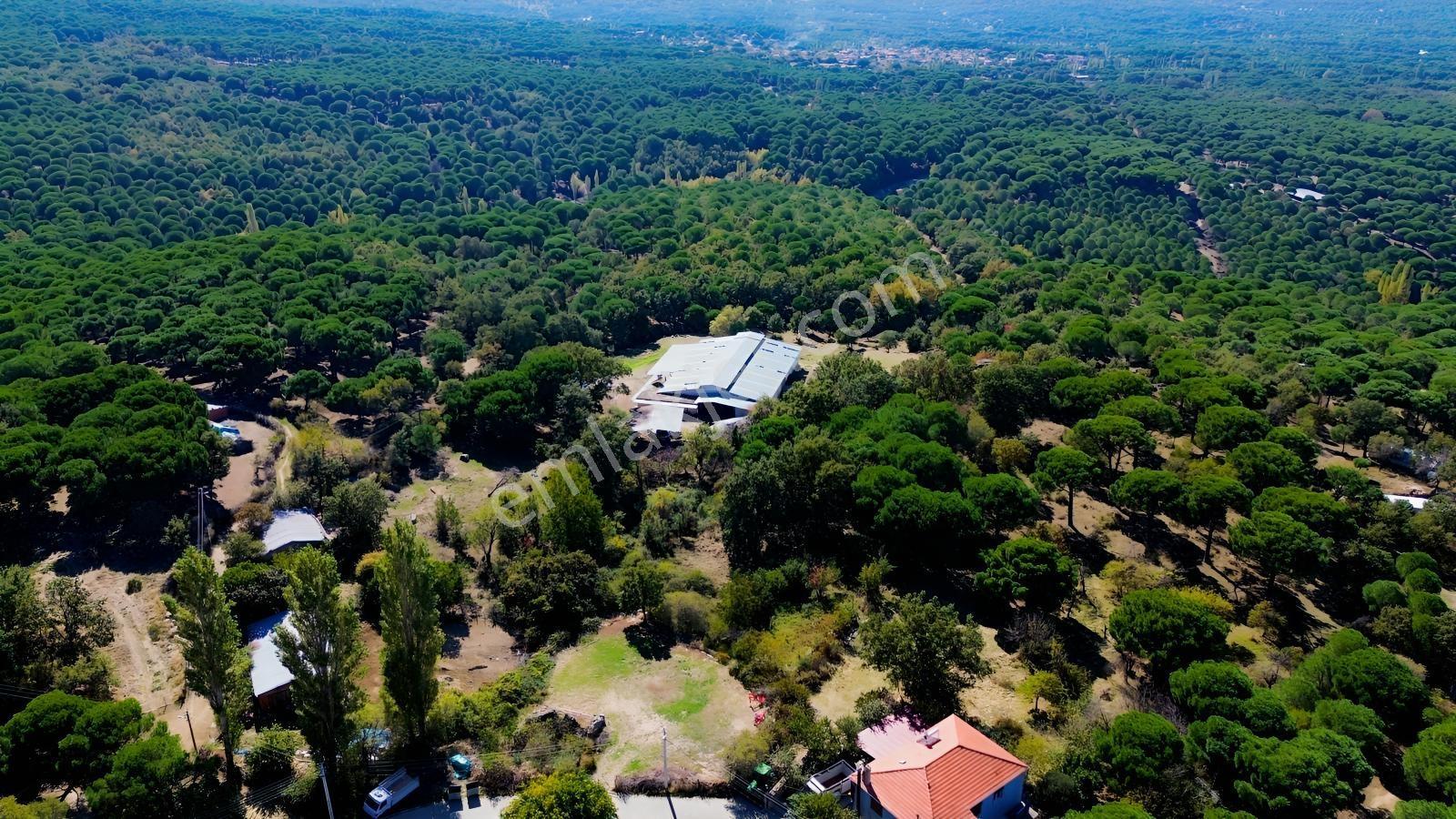 Bergama Kıranlı Mah.'de 4.640m2 Satılık Tarla Elma Bahçesi — fotoğraf 8