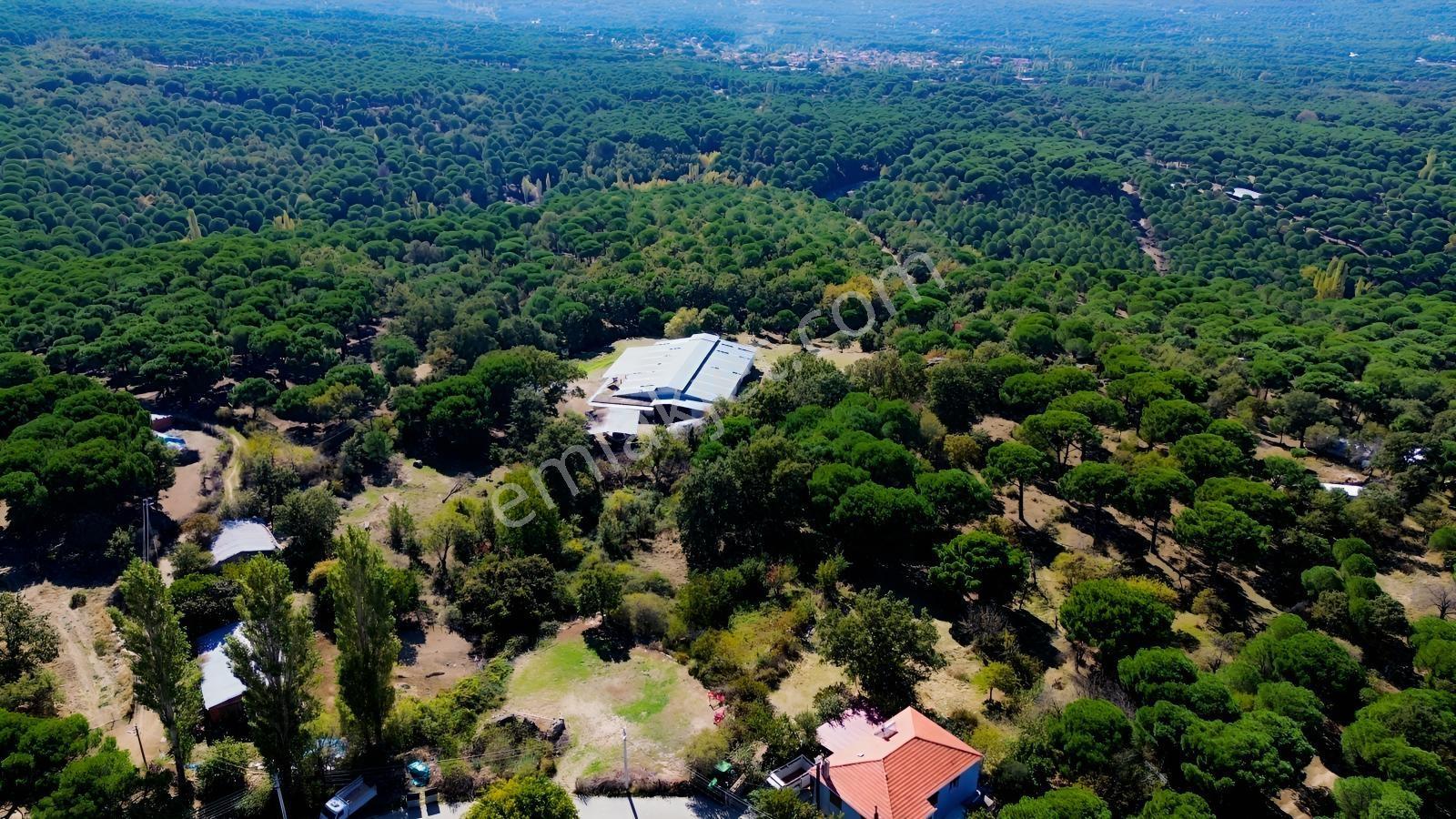 Bergama Kıranlı Mah.'de 4.640m2 Satılık Tarla Elma Bahçesi — fotoğraf 9