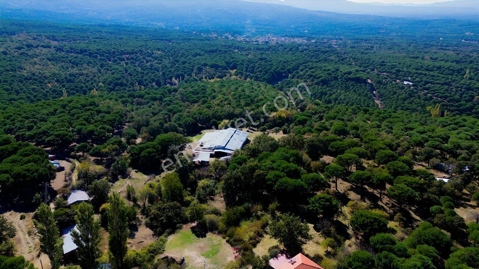 Bergama Kıranlı Mah.'de 4.640m2 Satılık Tarla Elma Bahçesi — fotoğraf 10