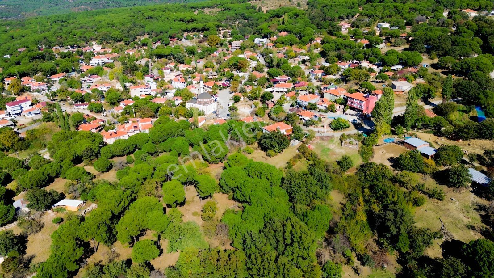 Bergama Kıranlı Mah.'de 4.640m2 Satılık Tarla Elma Bahçesi — fotoğraf 11