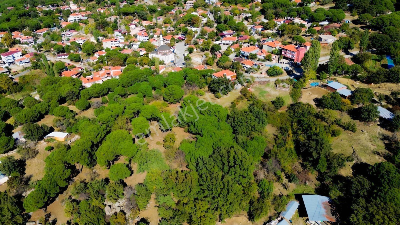 Bergama Kıranlı Mah.'de 4.640m2 Satılık Tarla Elma Bahçesi — fotoğraf 12