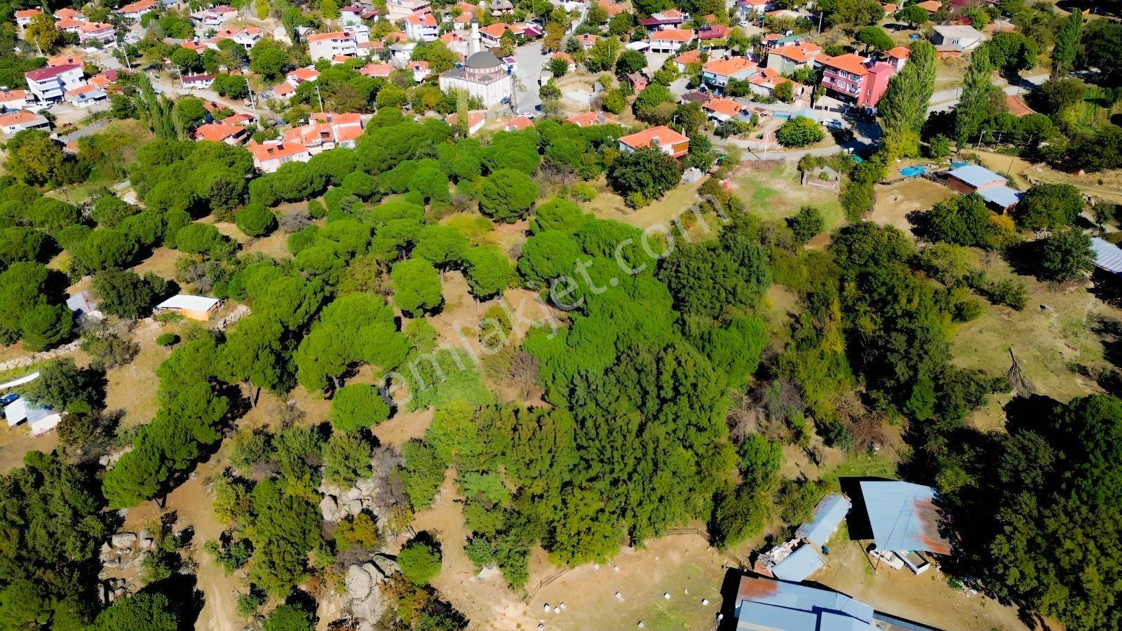 Bergama Kıranlı Mah.'de 4.640m2 Satılık Tarla Elma Bahçesi — fotoğraf 13
