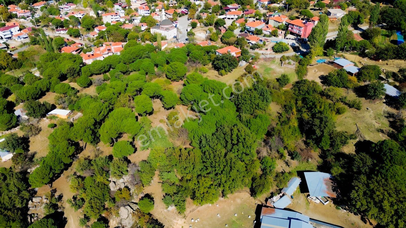 Bergama Kıranlı Mah.'de 4.640m2 Satılık Tarla Elma Bahçesi — fotoğraf 14