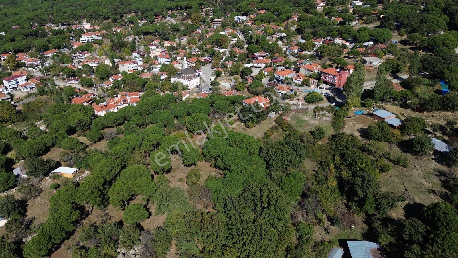 Bergama Kıranlı Mah.'de 4.640m2 Satılık Tarla Elma Bahçesi — fotoğraf 15