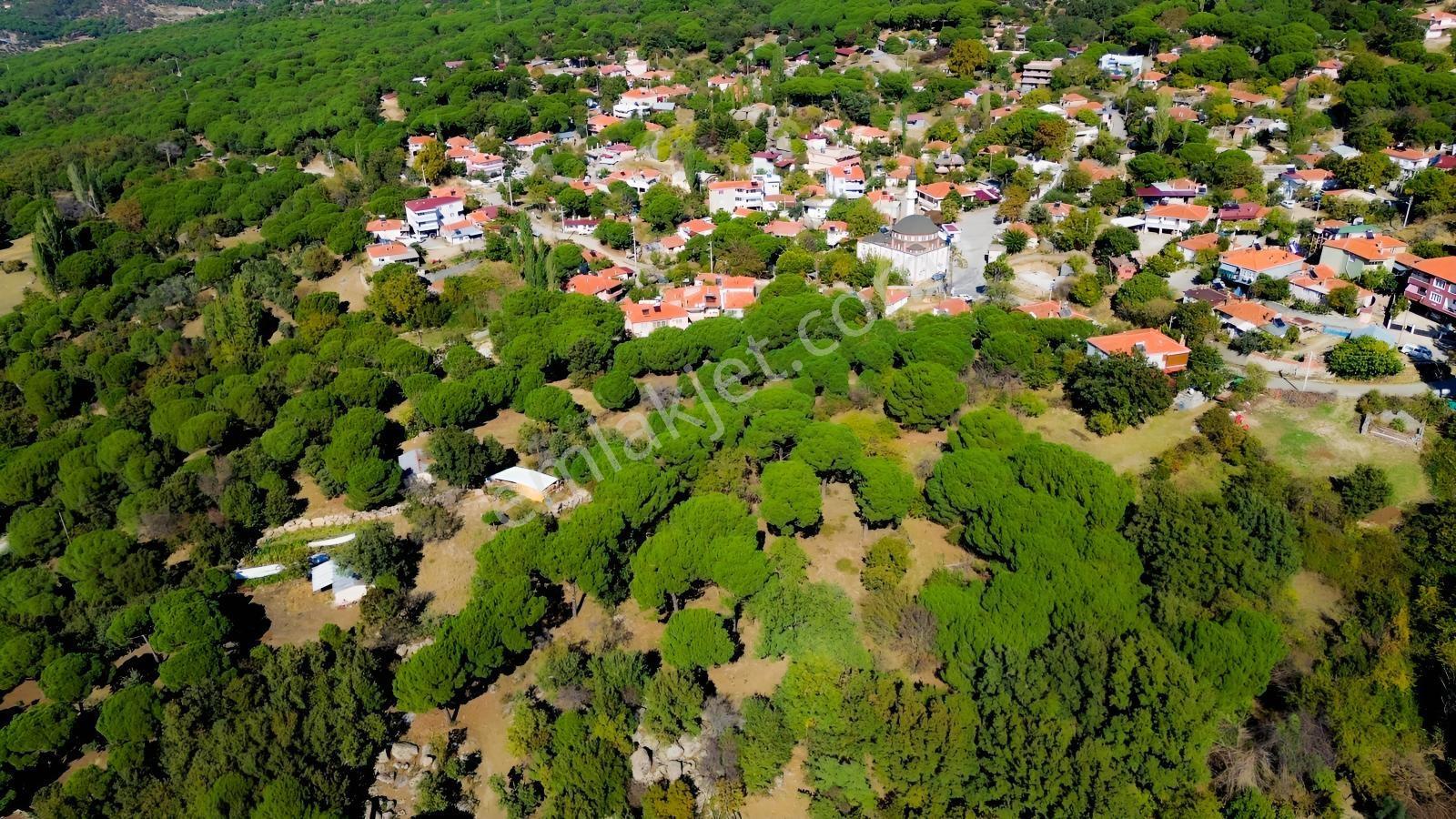 Bergama Kıranlı Mah.'de 4.640m2 Satılık Tarla Elma Bahçesi — fotoğraf 16