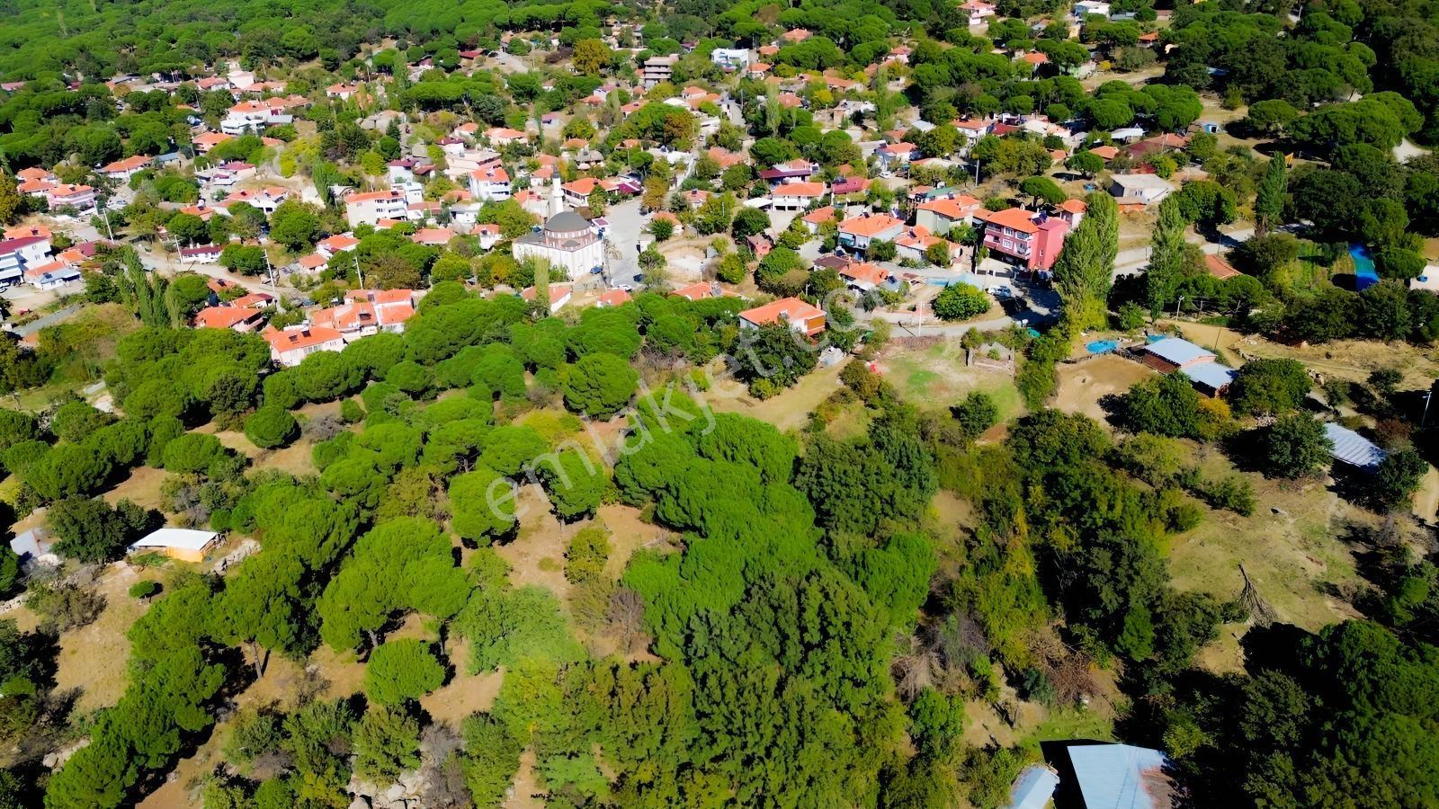 Bergama Kıranlı Mah.'de 4.640m2 Satılık Tarla Elma Bahçesi — fotoğraf 17