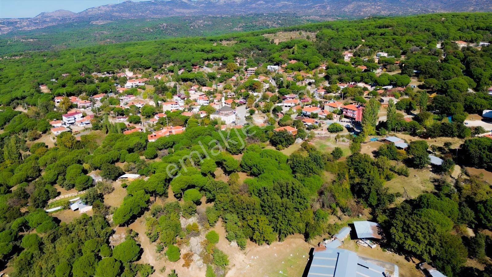 Bergama Kıranlı Mah.'de 4.640m2 Satılık Tarla Elma Bahçesi — fotoğraf 18