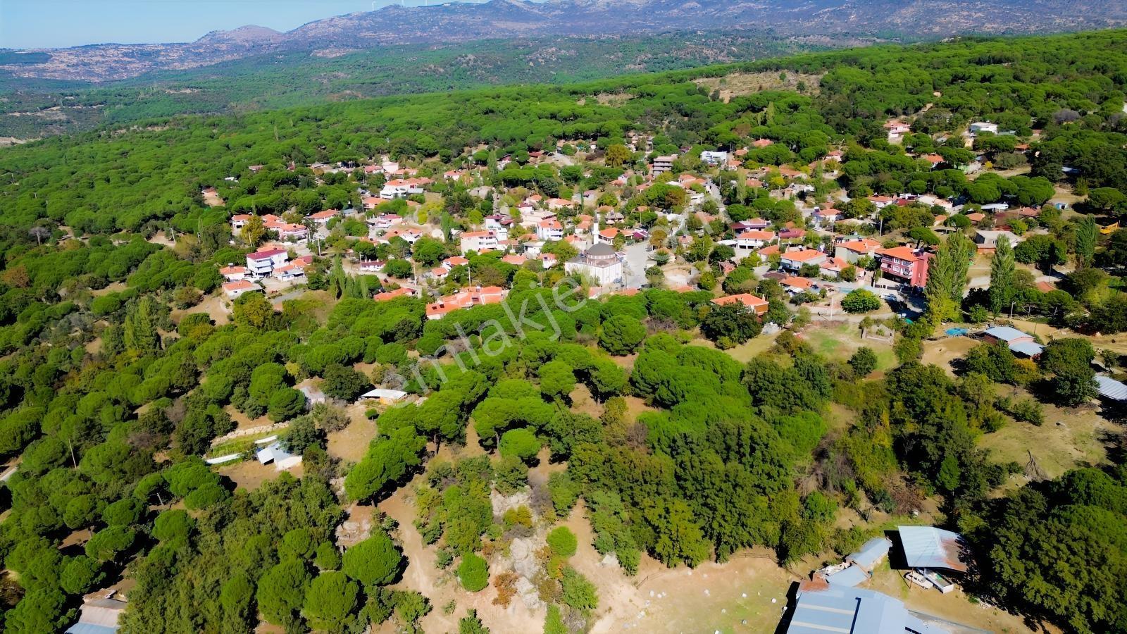 Bergama Kıranlı Mah.'de 4.640m2 Satılık Tarla Elma Bahçesi — fotoğraf 19