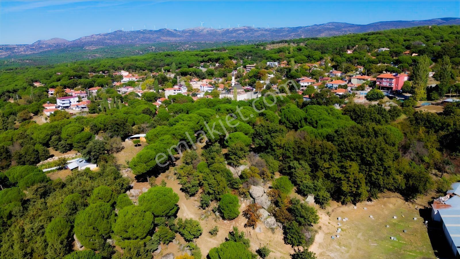 Bergama Kıranlı Mah.'de 4.640m2 Satılık Tarla Elma Bahçesi — fotoğraf 21