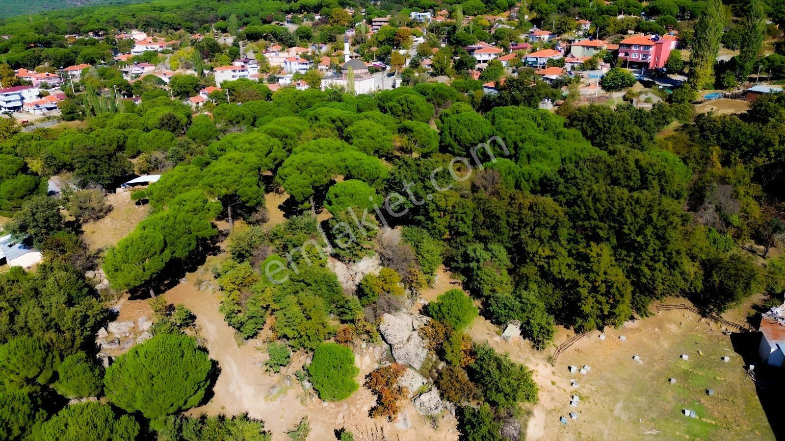 Bergama Kıranlı Mah.'de 4.640m2 Satılık Tarla Elma Bahçesi — fotoğraf 22