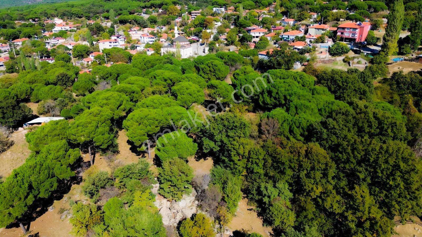 Bergama Kıranlı Mah.'de 4.640m2 Satılık Tarla Elma Bahçesi — fotoğraf 23