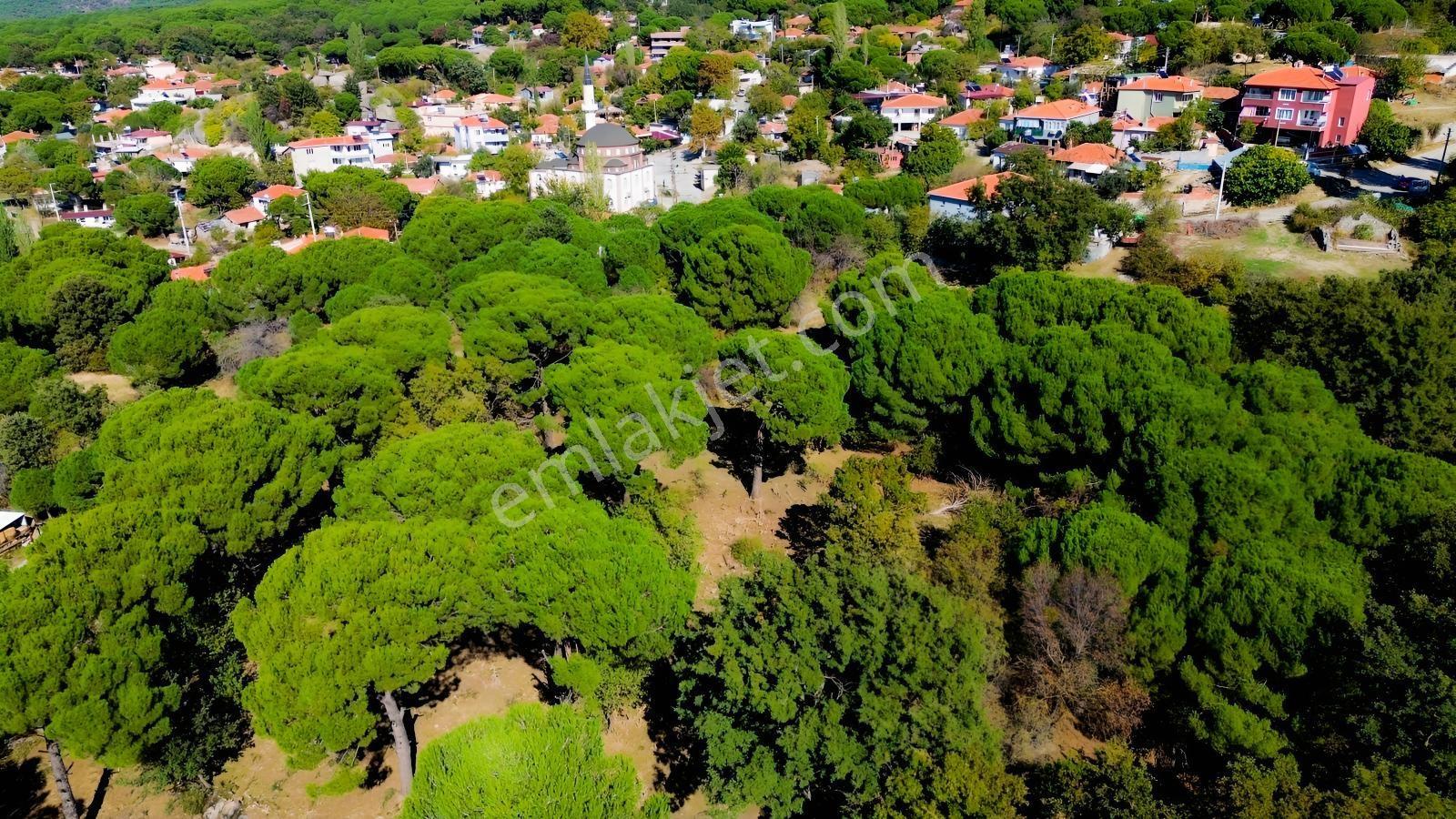 Bergama Kıranlı Mah.'de 4.640m2 Satılık Tarla Elma Bahçesi — fotoğraf 24