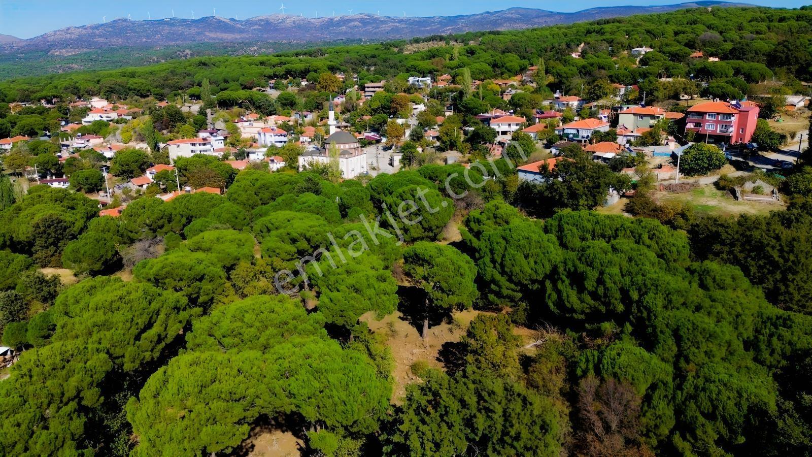 Bergama Kıranlı Mah.'de 4.640m2 Satılık Tarla Elma Bahçesi — fotoğraf 25