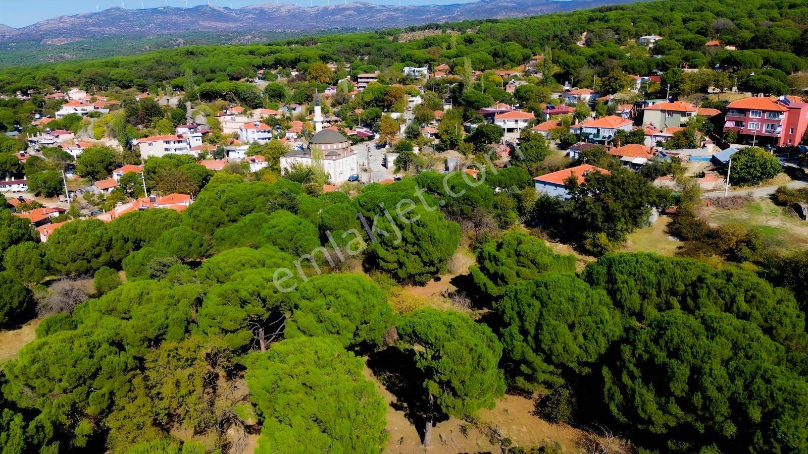 Bergama Kıranlı Mah.'de 4.640m2 Satılık Tarla Elma Bahçesi — fotoğraf 27