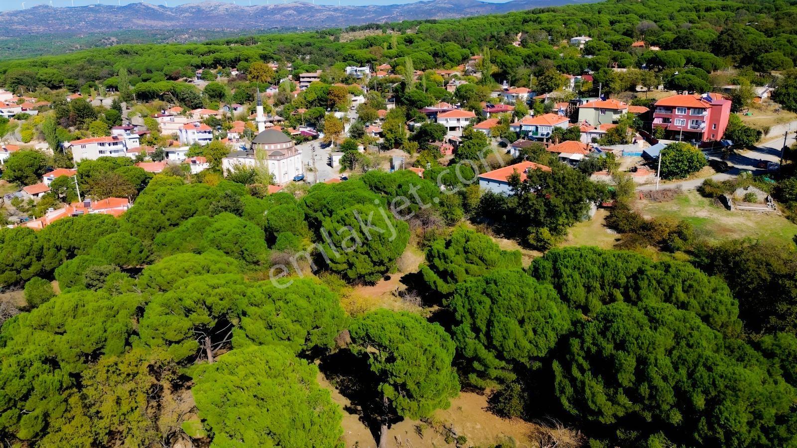 Bergama Kıranlı Mah.'de 4.640m2 Satılık Tarla Elma Bahçesi — fotoğraf 28