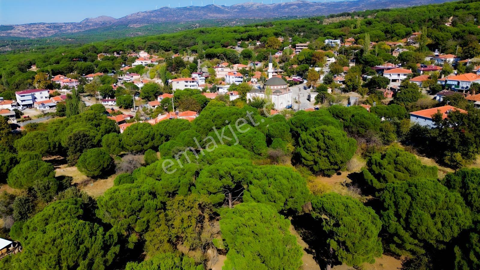 Bergama Kıranlı Mah.'de 4.640m2 Satılık Tarla Elma Bahçesi — fotoğraf 29