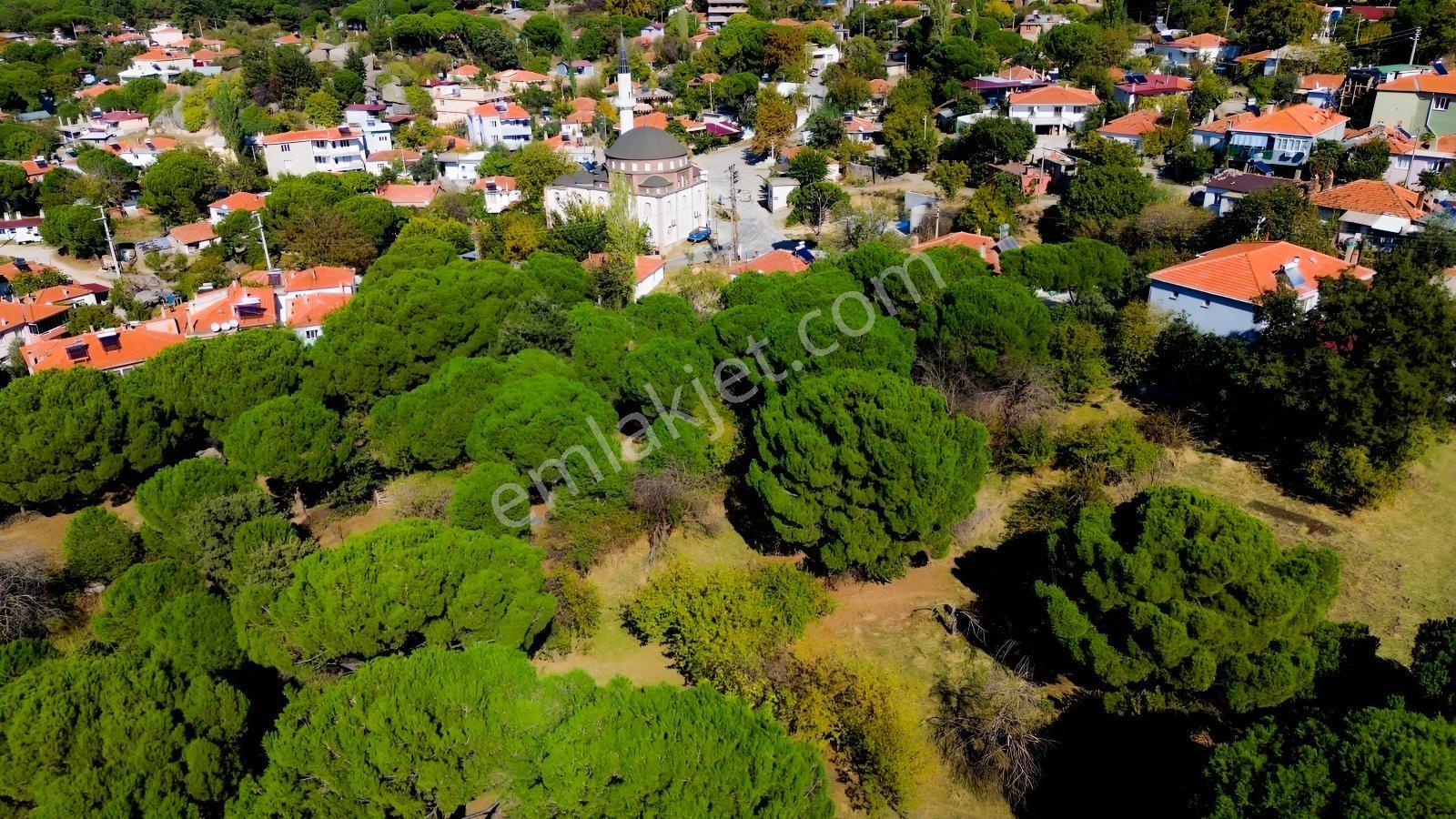 Bergama Kıranlı Mah.'de 4.640m2 Satılık Tarla Elma Bahçesi — fotoğraf 30