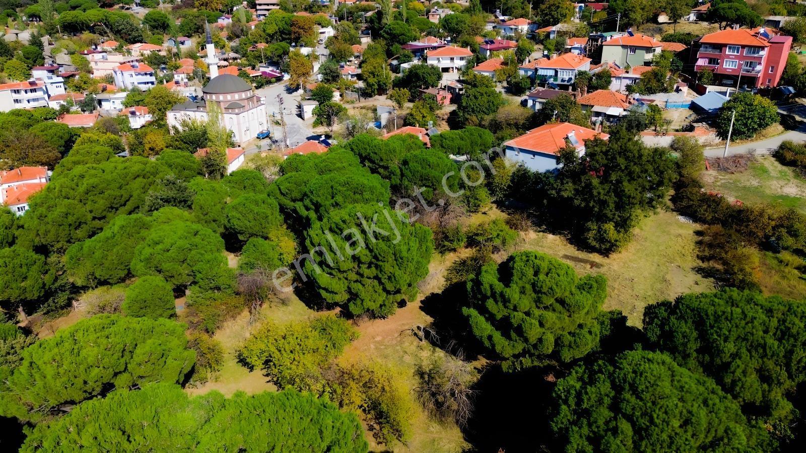 Bergama Kıranlı Mah.'de 4.640m2 Satılık Tarla Elma Bahçesi — fotoğraf 31