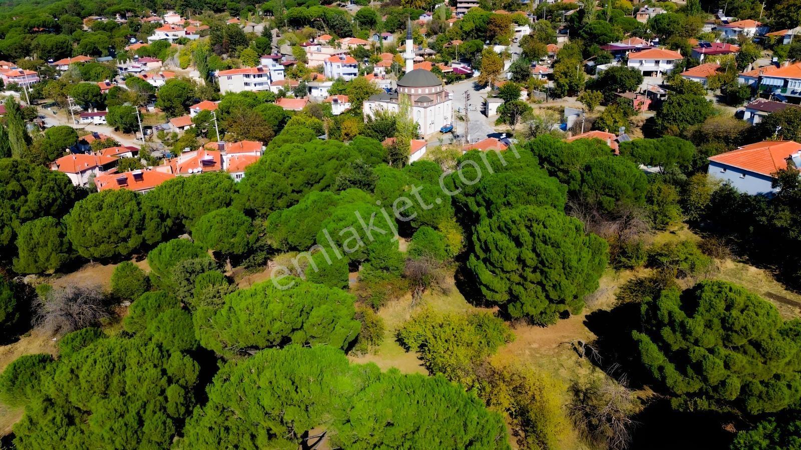 Bergama Kıranlı Mah.'de 4.640m2 Satılık Tarla Elma Bahçesi — fotoğraf 32