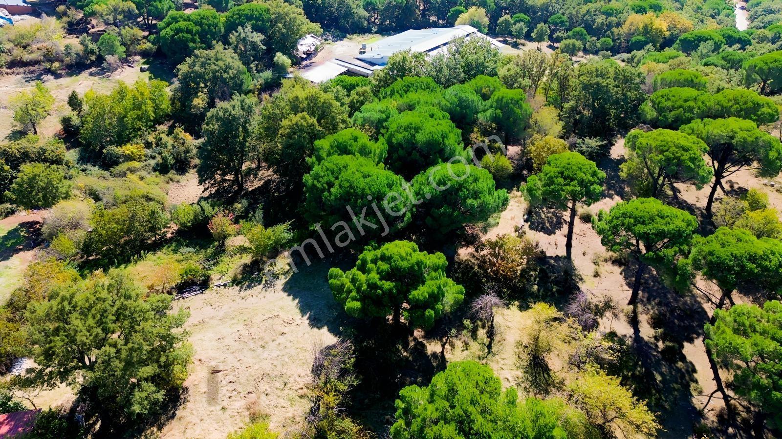 Bergama Kıranlı Mah.'de 4.640m2 Satılık Tarla Elma Bahçesi — fotoğraf 35
