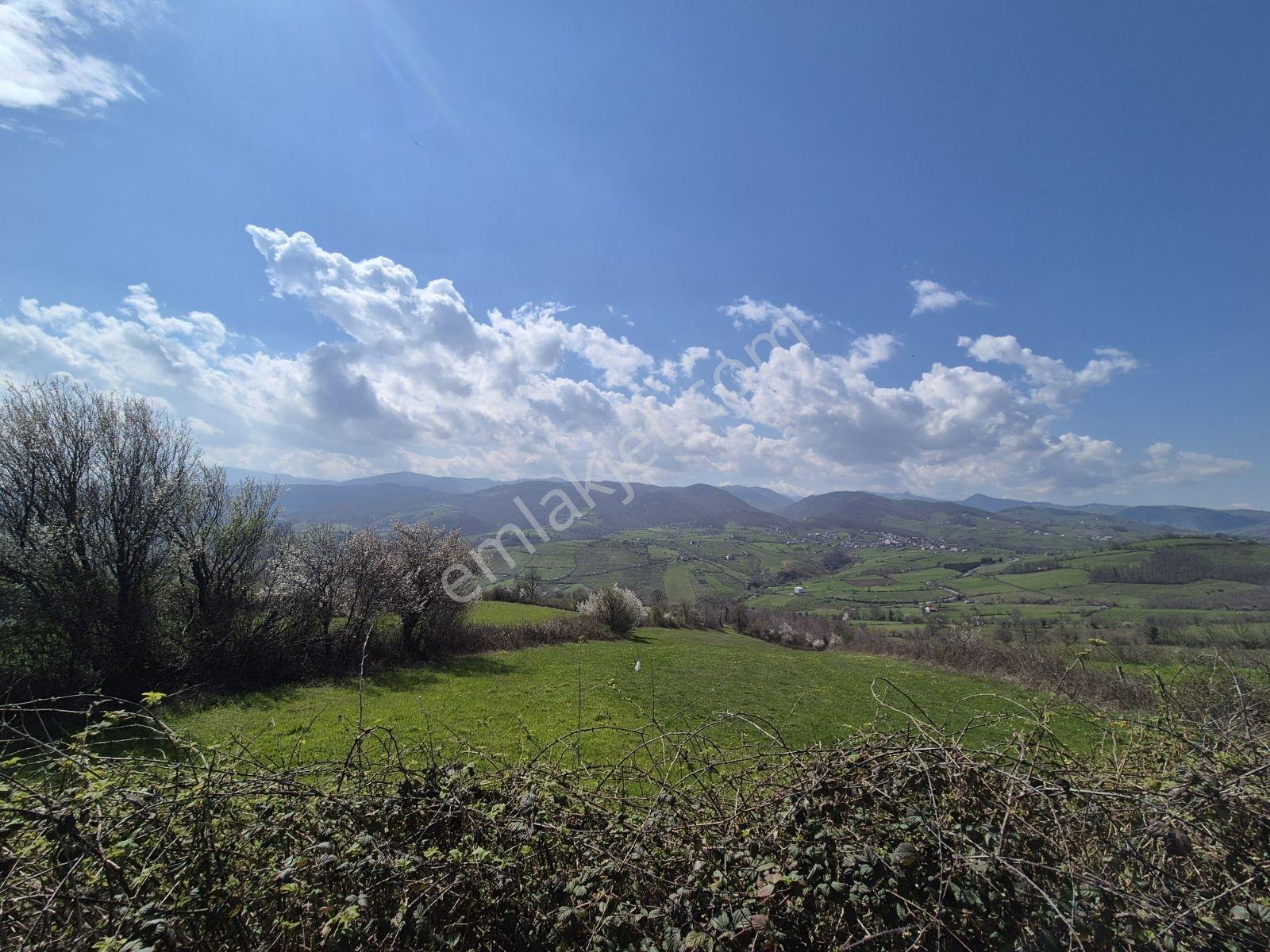 Samsun 19 Mayıs Karagölde Satılık Fındıklığa Uygun Tarla — fotoğraf 4
