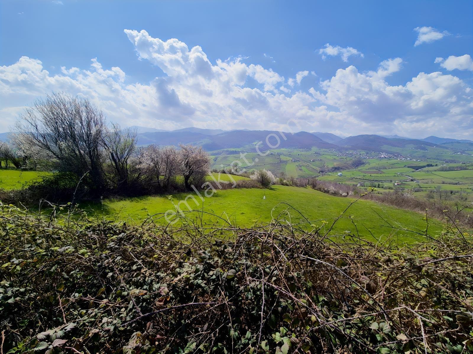 Samsun 19 Mayıs Karagölde Satılık Fındıklığa Uygun Tarla — fotoğraf 5