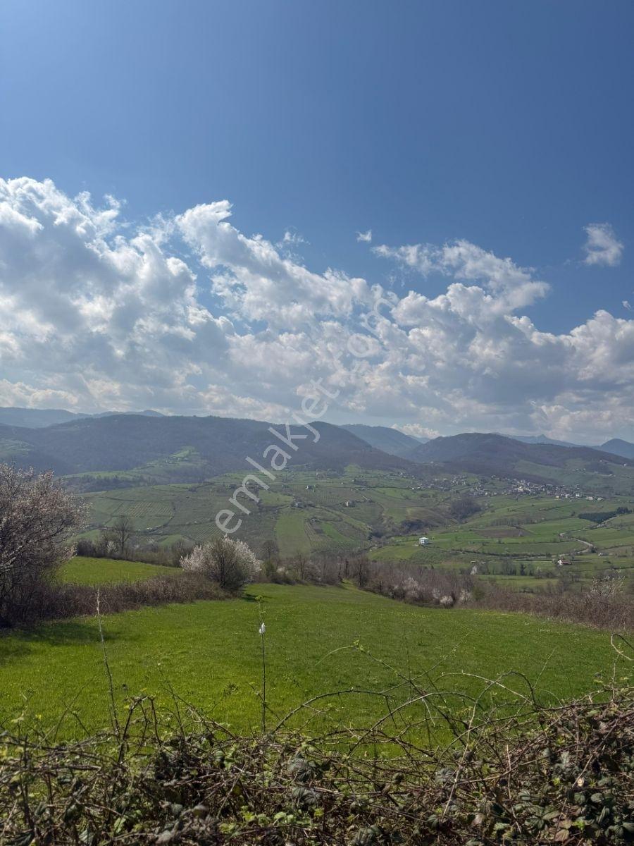 Samsun 19 Mayıs Karagölde Satılık Fındıklığa Uygun Tarla — fotoğraf 6