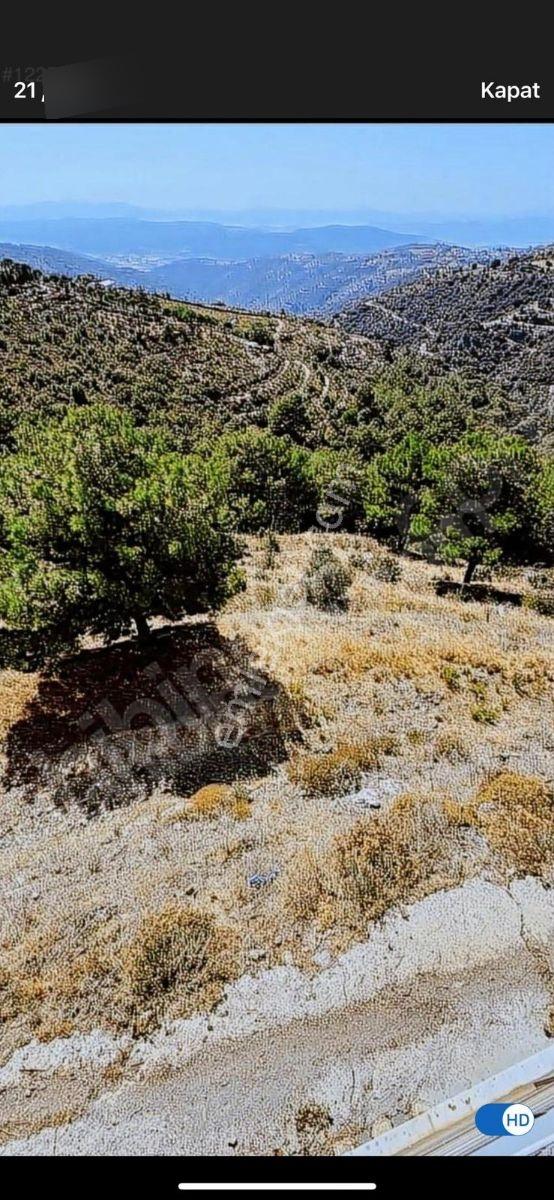Güzelbahçe Payamlıda İçinde Evi Olan Tarla — fotoğraf 18