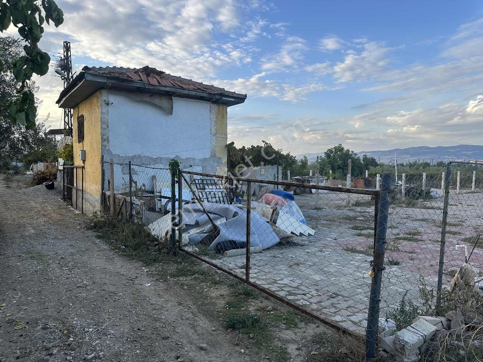 Şehir Merkezine Yakın Zeytinlik — fotoğraf 3