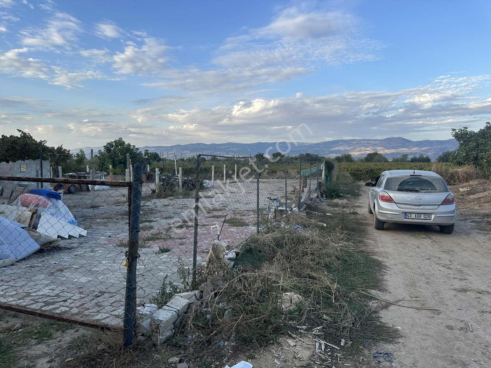 Şehir Merkezine Yakın Zeytinlik — fotoğraf 4
