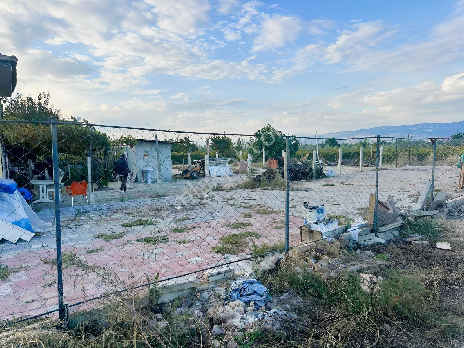 Şehir Merkezine Yakın Zeytinlik — fotoğraf 27
