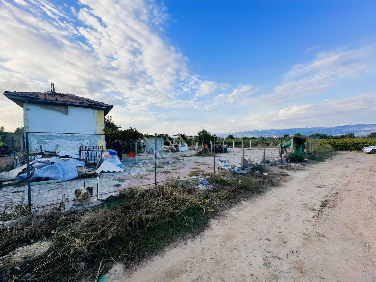 Şehir Merkezine Yakın Zeytinlik — fotoğraf 28