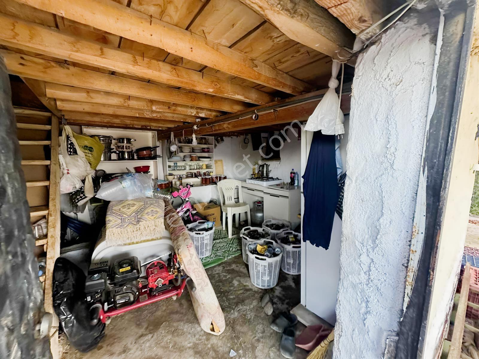 Şehir Merkezine Yakın Zeytinlik — fotoğraf 30