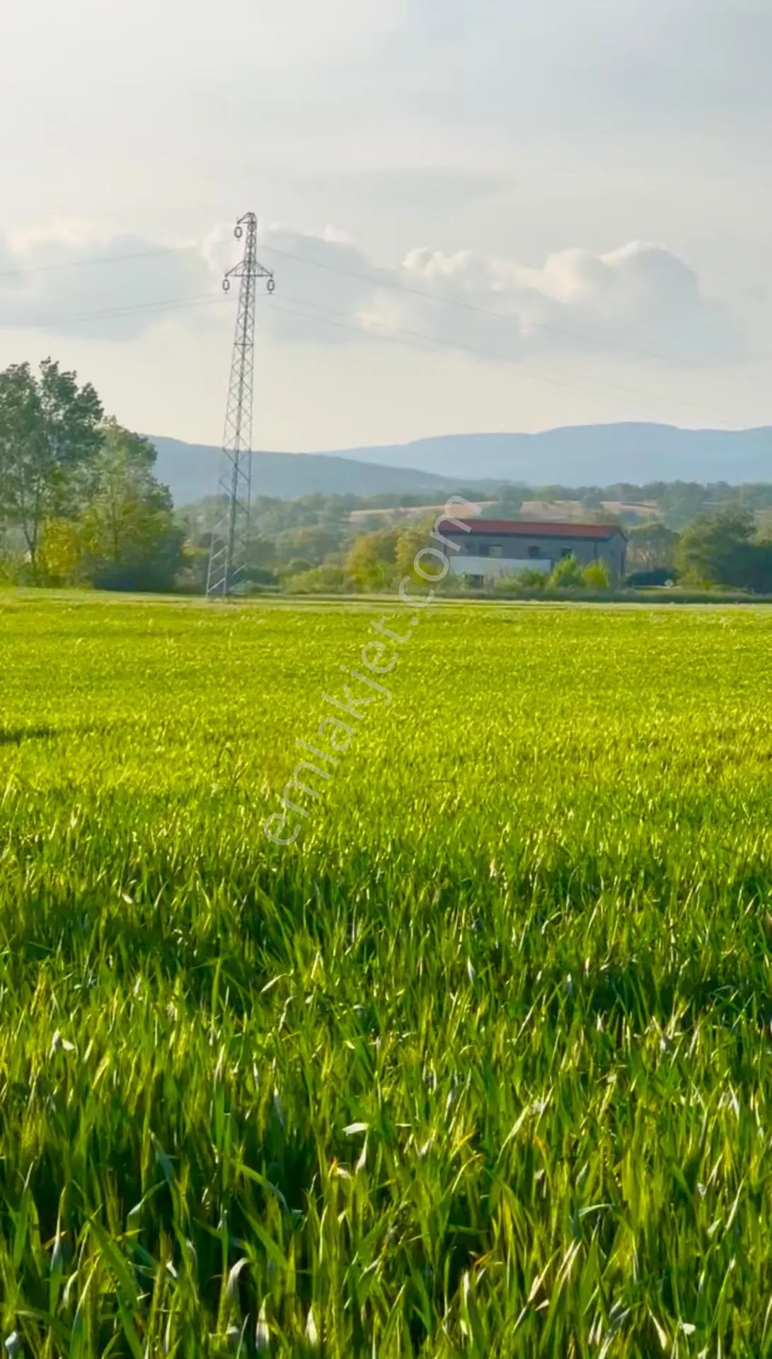 Bağ Ve Çiftlik İçin Uygun Önünde 70 M Eninde Yol Ayrılmış Tarla — fotoğraf 3