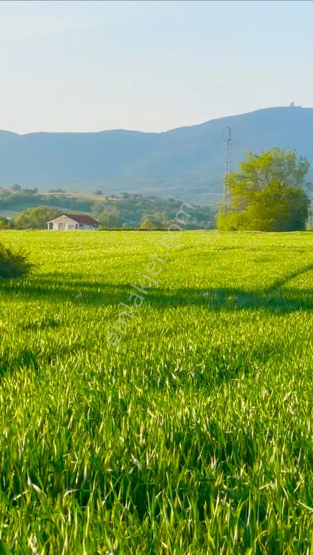 Bağ Ve Çiftlik İçin Uygun Önünde 70 M Eninde Yol Ayrılmış Tarla — fotoğraf 4