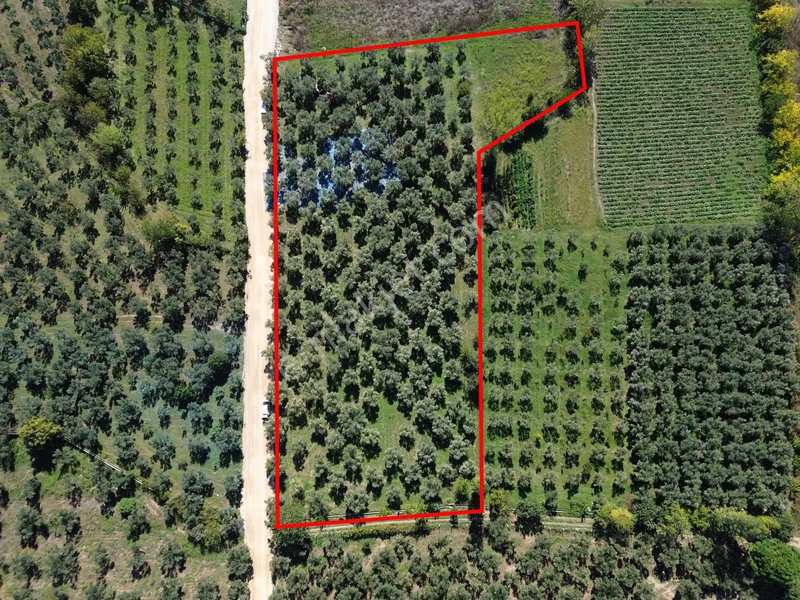 Limax'tan Çakırlı Sahil Yolunda 7.269 M² Tarla — fotoğraf 2