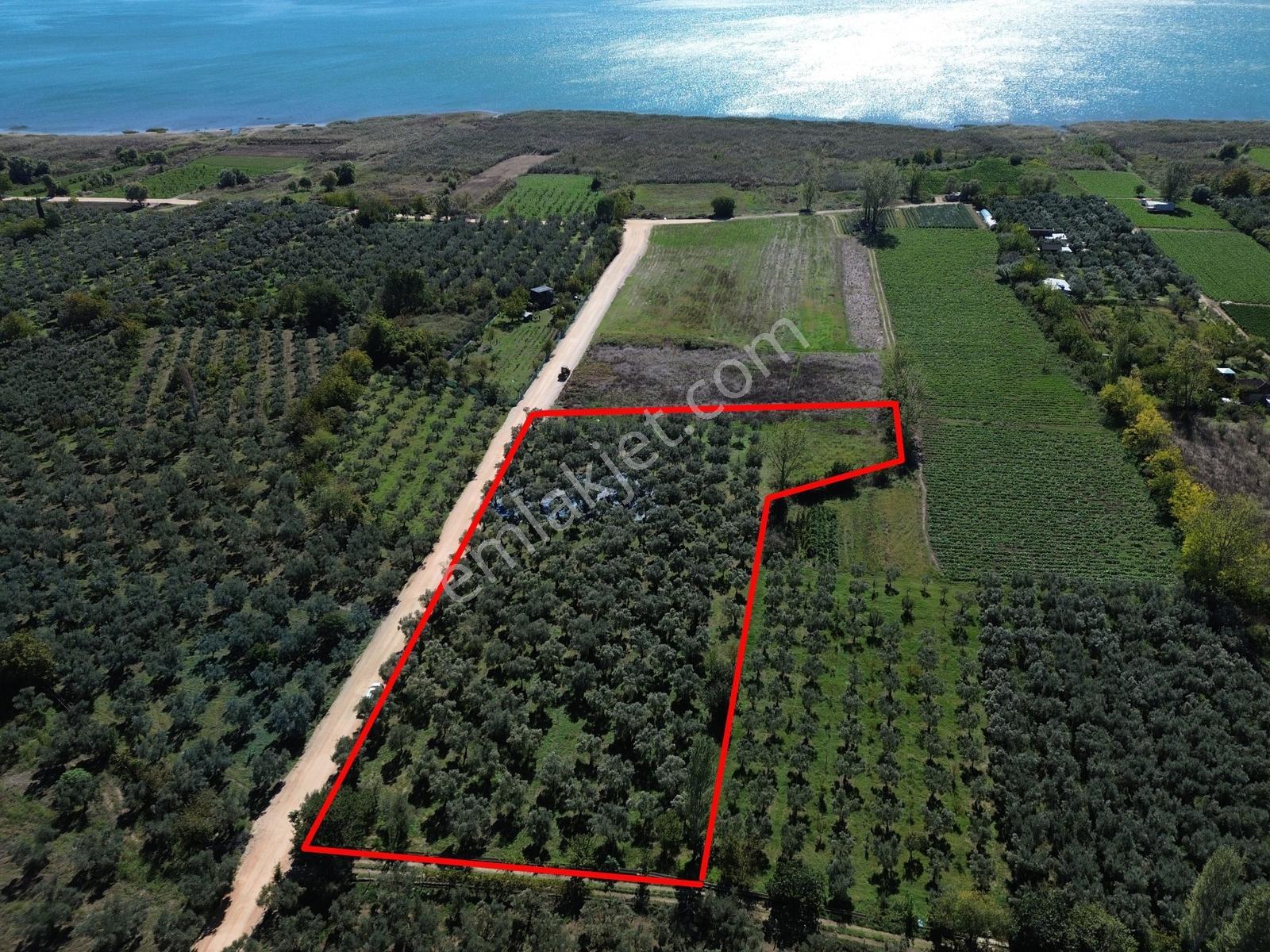 Limax'tan Çakırlı Sahil Yolunda 7.269 M² Tarla — fotoğraf 10