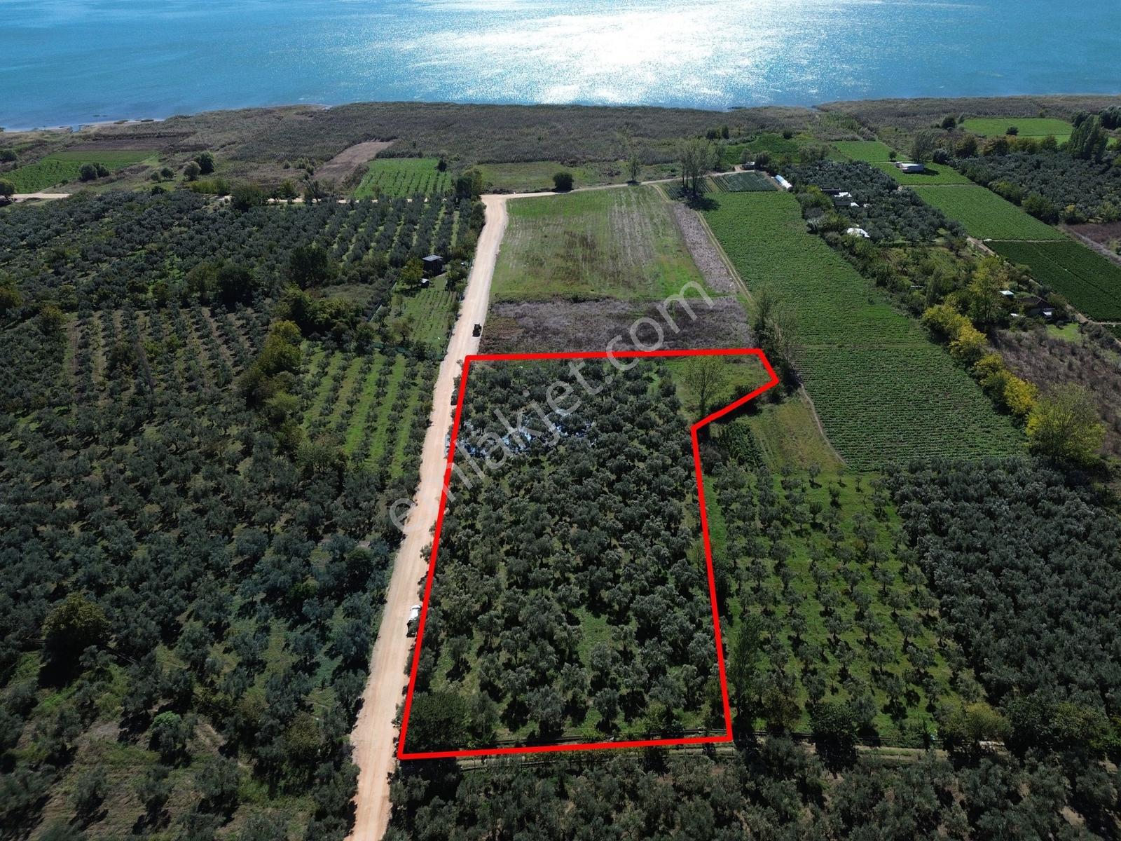 Limax'tan Çakırlı Sahil Yolunda 7.269 M² Tarla — fotoğraf 11