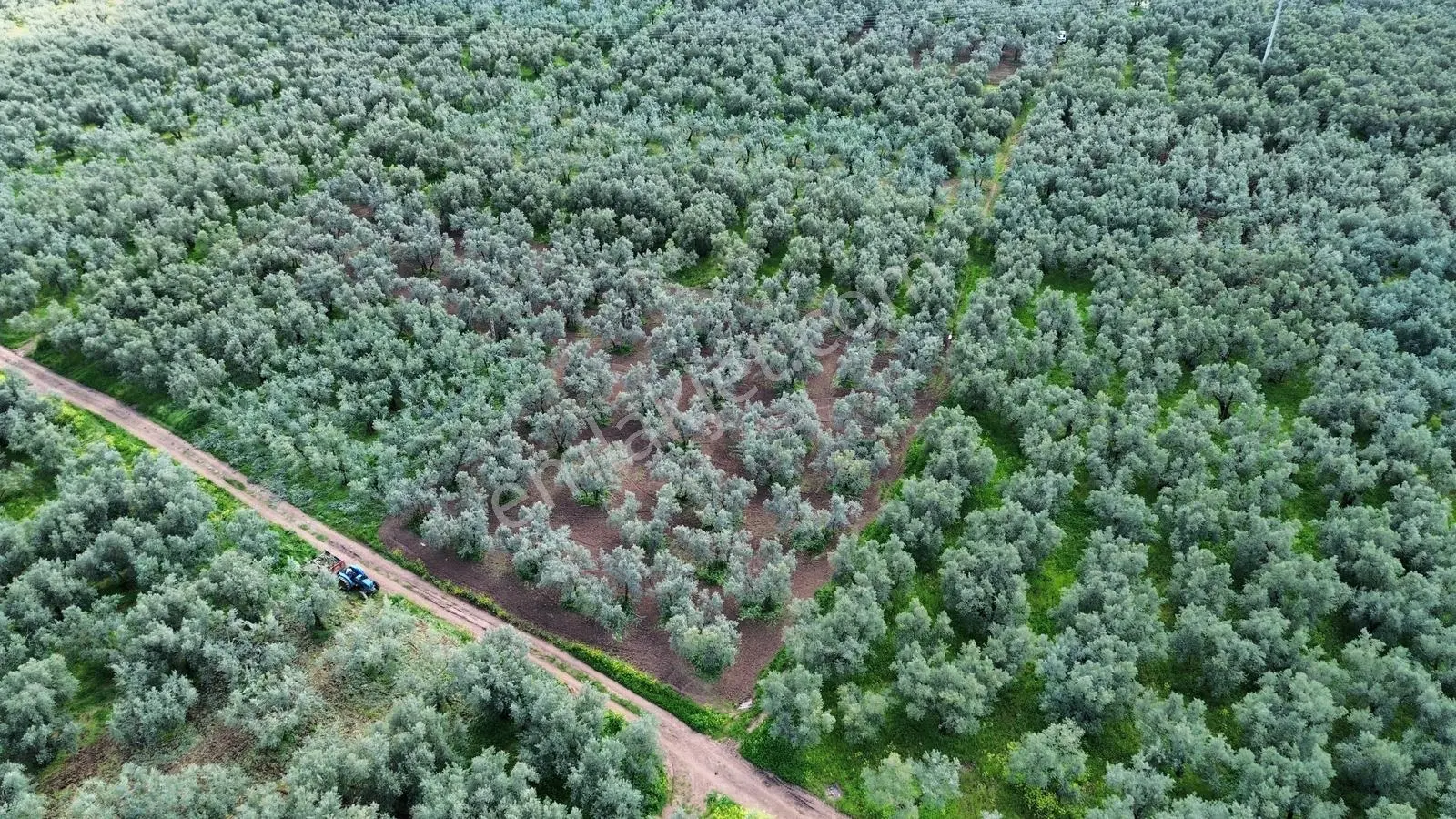 Sölöz De Köşe Parsel Fırsat Zeytinlik — fotoğraf 4