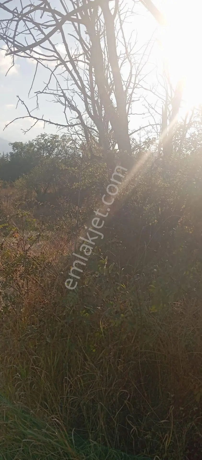 Erenköy Mahallesi Satılık Hisseli Villa Parseli — fotoğraf 8