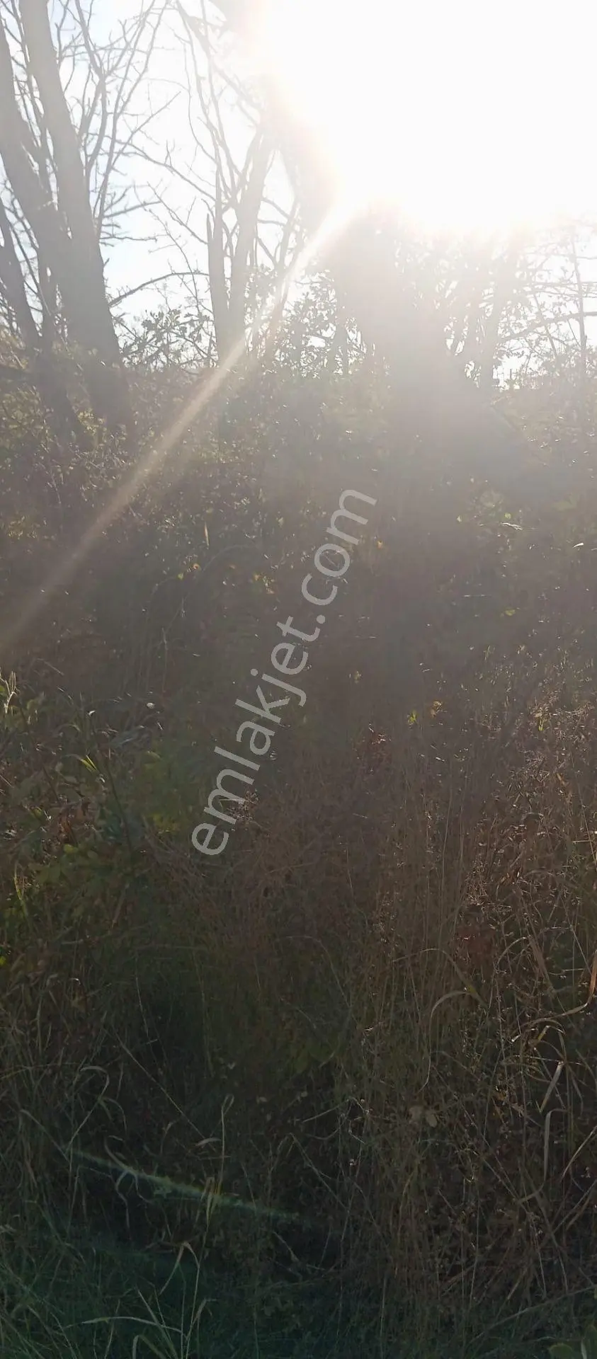 Erenköy Mahallesi Satılık Hisseli Villa Parseli — fotoğraf 9