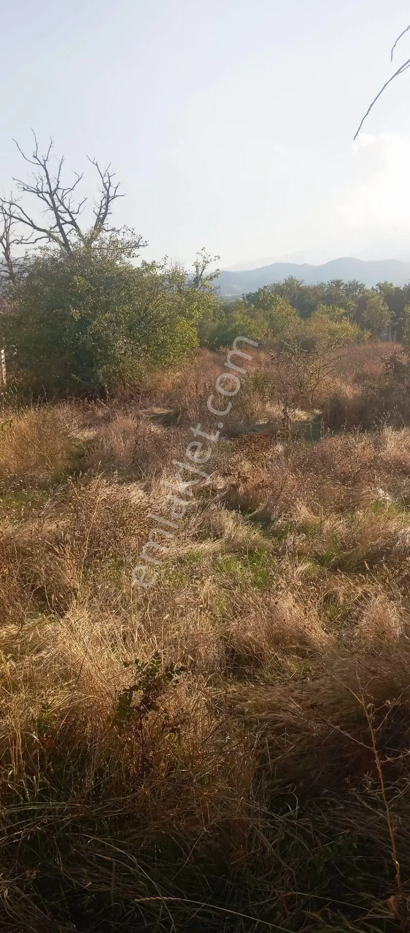 Erenköy Mahallesi Satılık Hisseli Villa Parseli — fotoğraf 14
