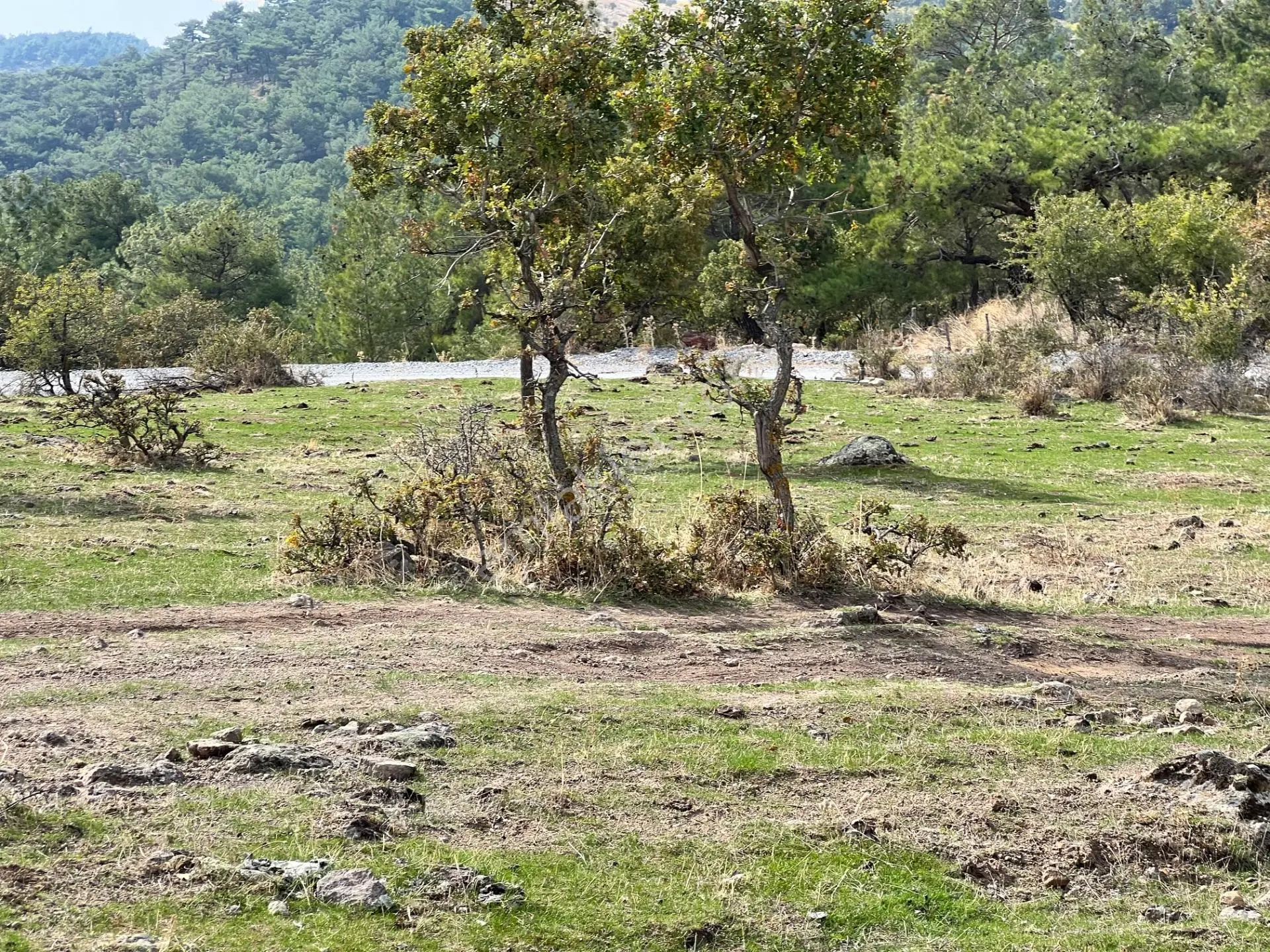 Havran Eğmir’De 4.704 M² Yola Yakın, Araçla Girilebilir Satılık Tarla